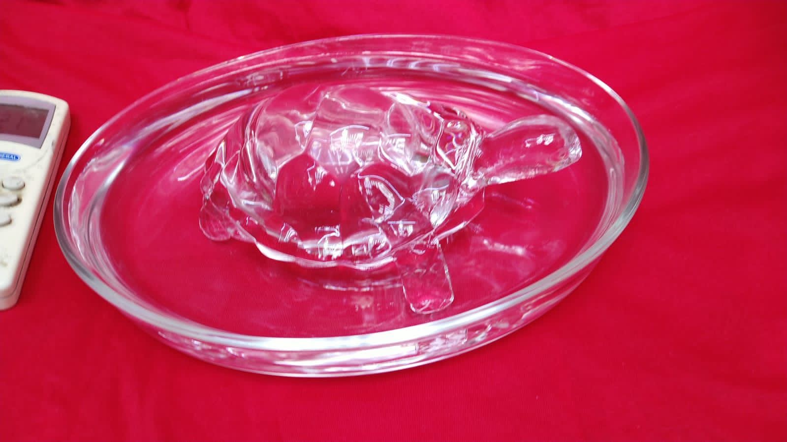 السلحفاء المائيه حجم صغير