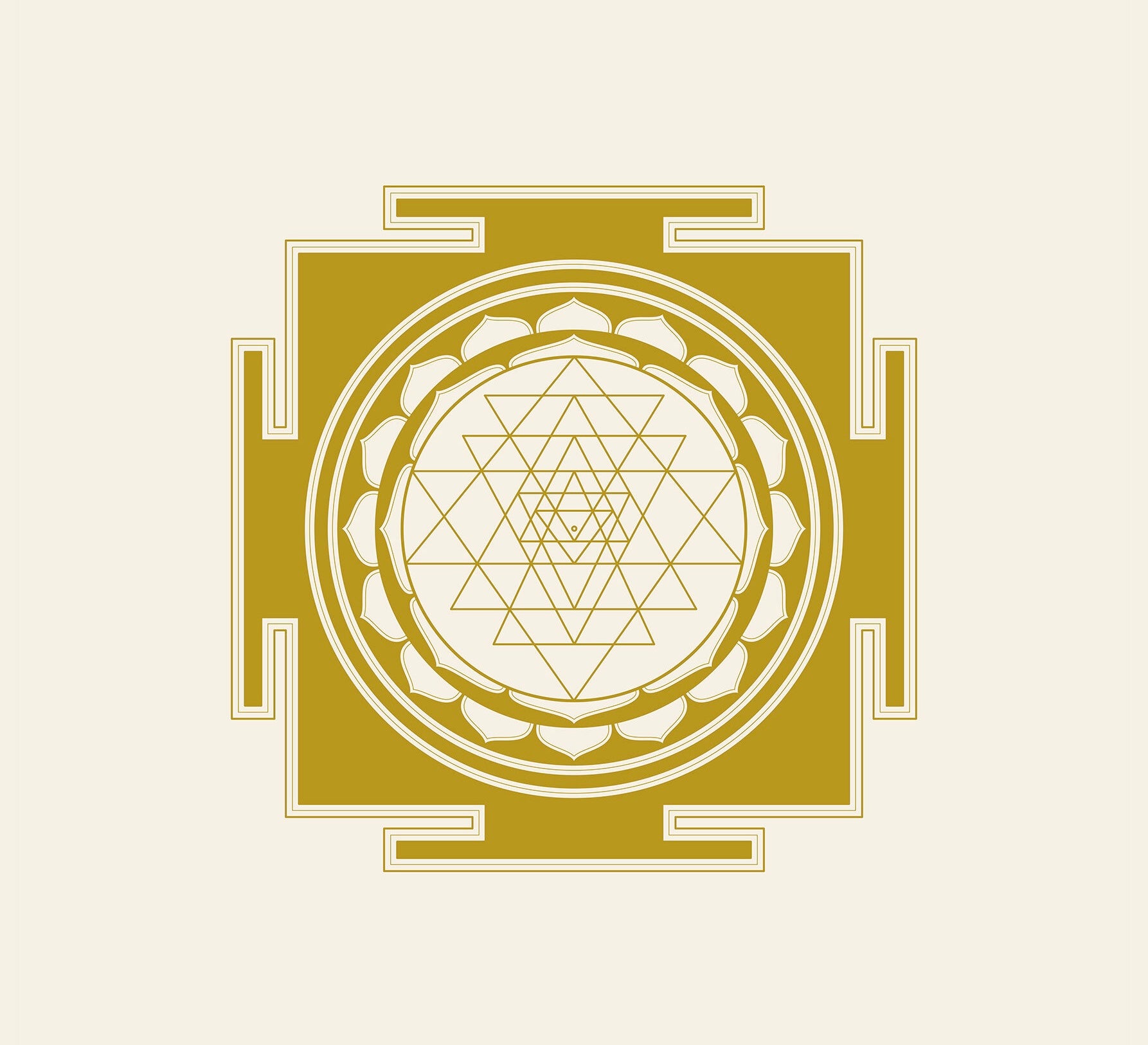 جلسه الأنوثه